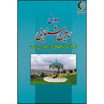 دیوانی ئه مین شنویی