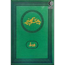 چیشتی مجیور (ژینامه‌ ی خونووسی مامۆستا هه‌ ژار)